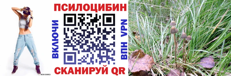 Галлюциногенные грибы GOLDEN TEACHER  купить   Ишим 